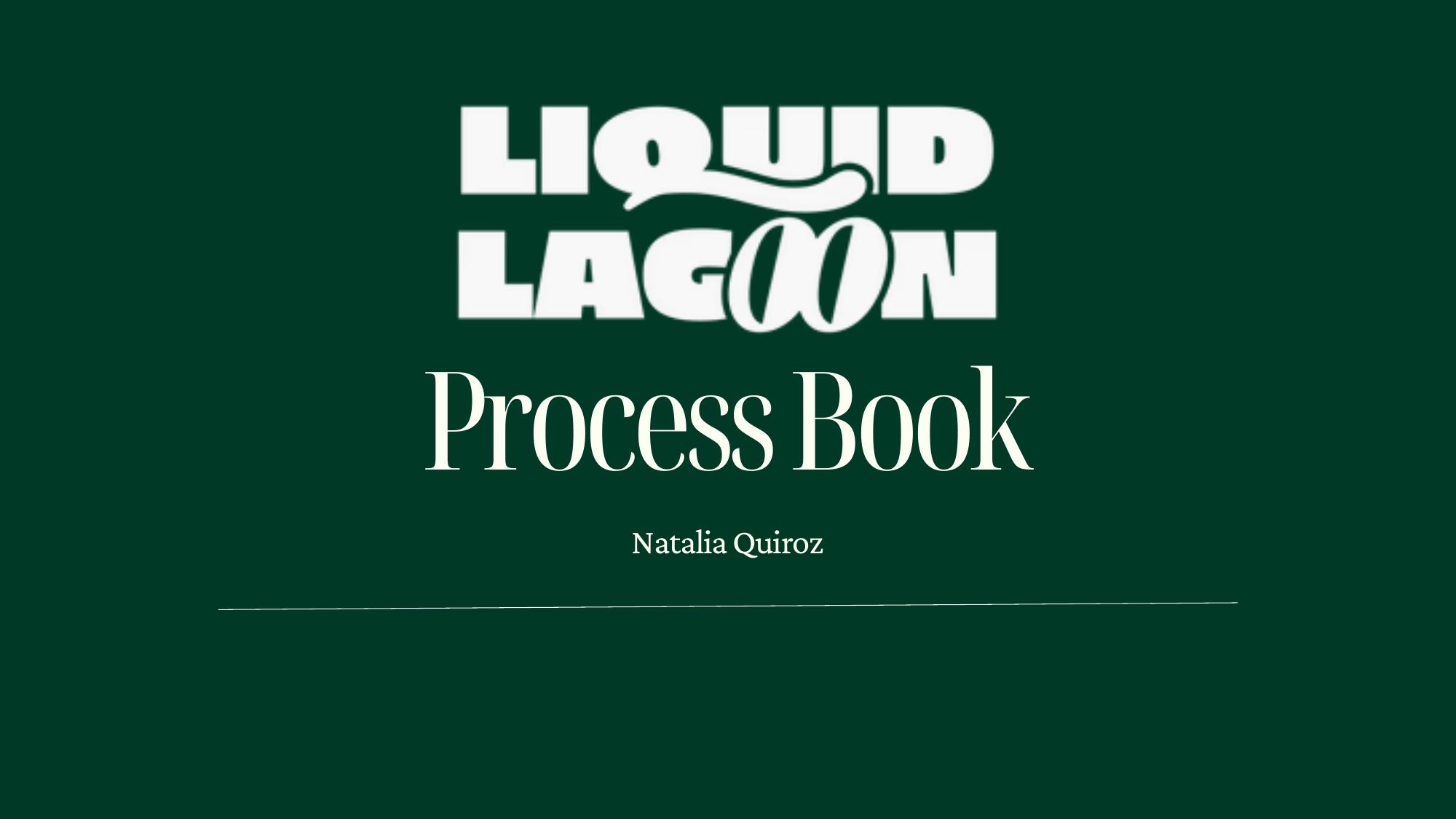Process Book